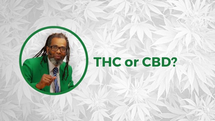THC or CBD? | Cooking On High
