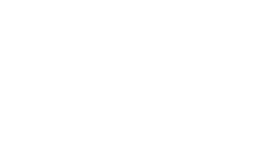 SFVF Cynopsis Short Form Video Festival