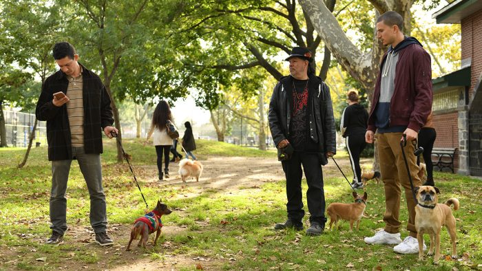 Netflix’s Surprise Hit Series ‘It’s Bruno’ is ‘Curb Your Enthusiasm’ But For Dog People
