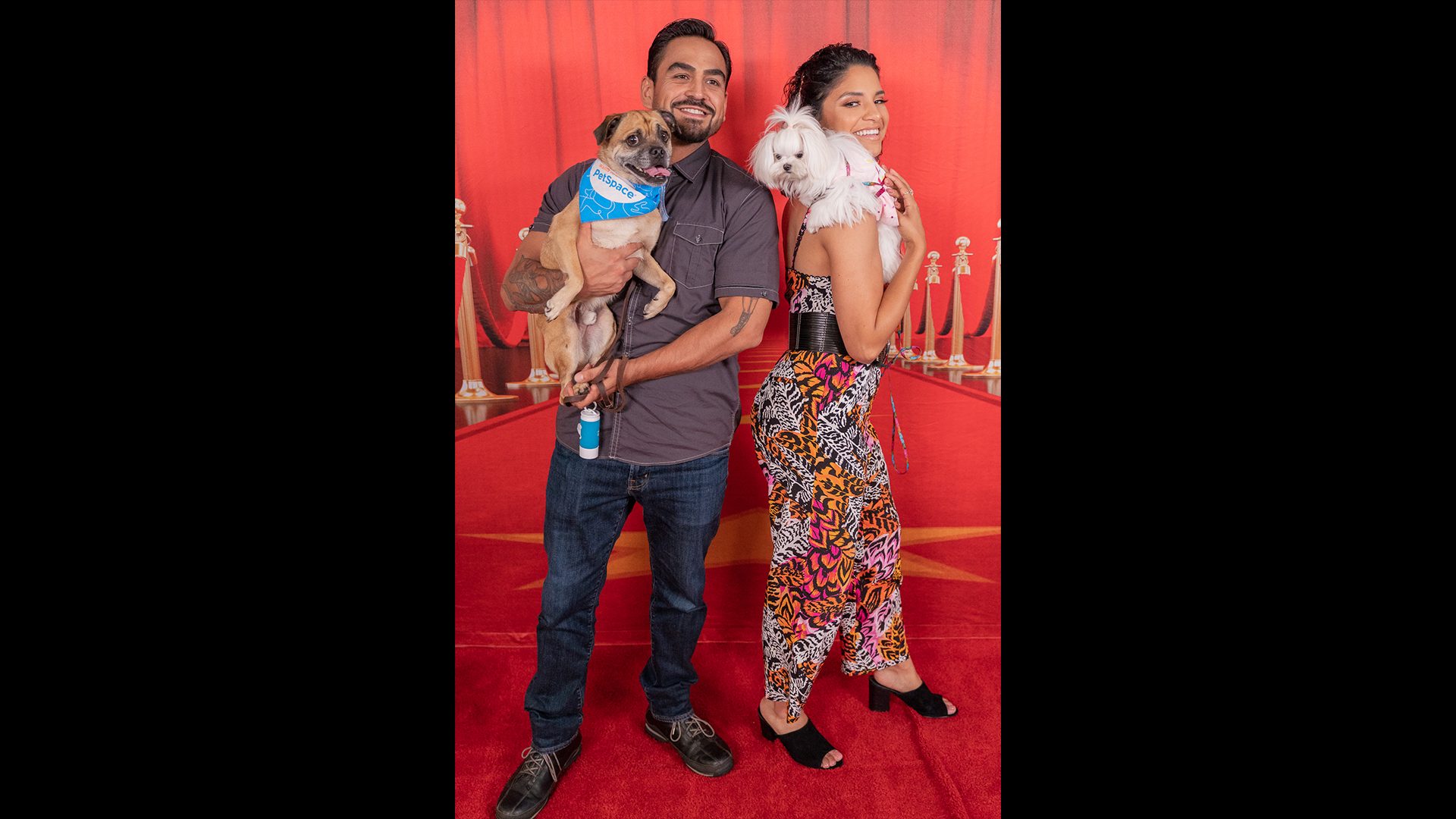 dogs posing on the red carpet